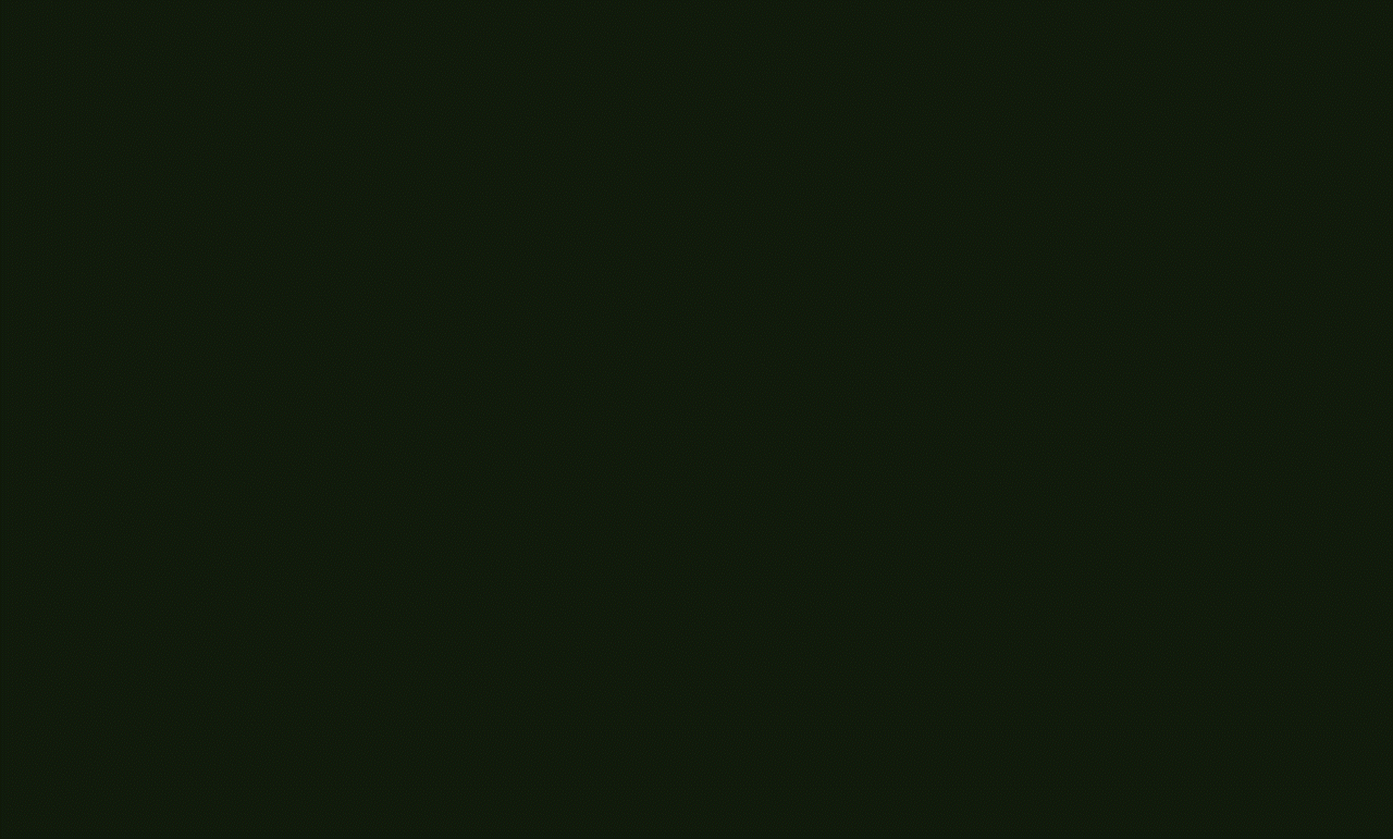 04_V02gif-gif